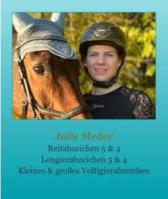 Julie Meder Reitabzeichen 5 & 4 Longierabzeichen 5 & 4 Kleines & groes Voltigierabzeichen